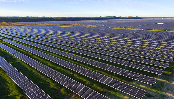 Ariel image of multiple solar panels