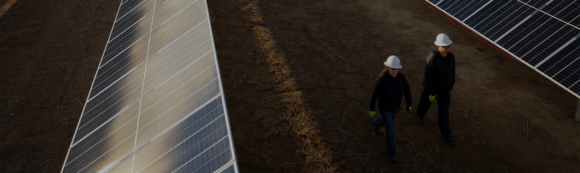Two employees walking through solar panel rows