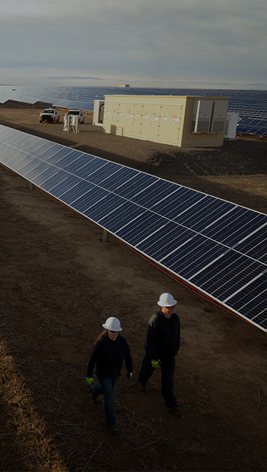 Two employees walking through solar panel rows