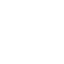 Electric Vehicle icon