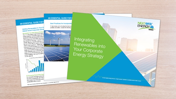 Whitepaper of integrating renewables
