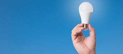 Hands cupped holding lightbulb