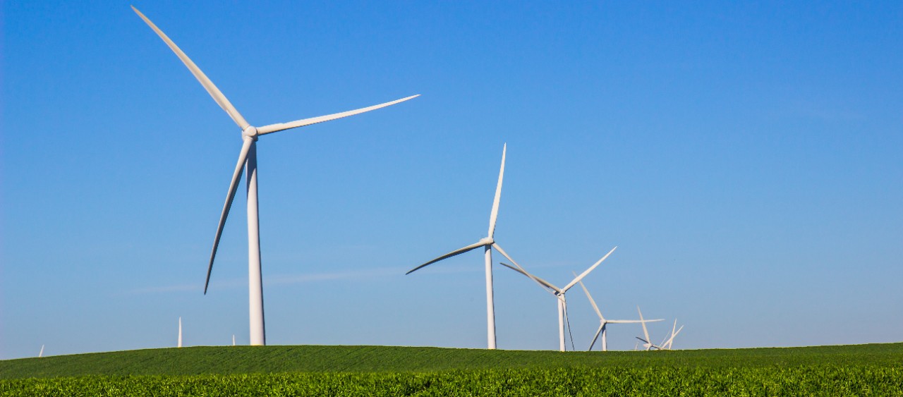 wind mills