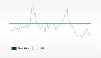 The graph represents how the Local Marginal Pricing Index, in green, fluctuates up and down; while the fixed price is a steady blue horizontal line.